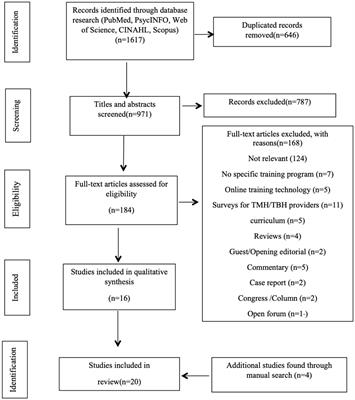 Education and training of telemental health providers: a systematic review